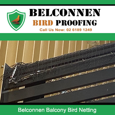 Bird netting installed underneath apartment balcony in Belconnen Canberra