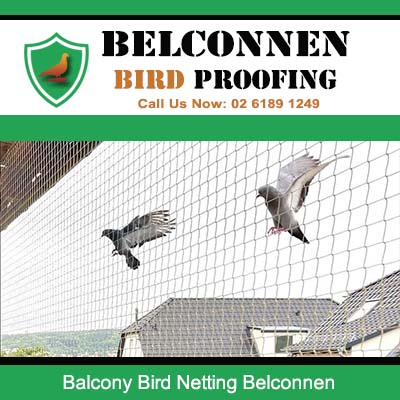 Birds caught in balcony netting system on apartment building in Belconnen Canberra