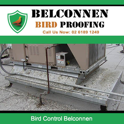Bird pest prevention on commercial building equipment in Belconnen area