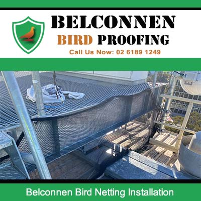 Large bird netting installation on commercial building exterior in Belconnen Canberra