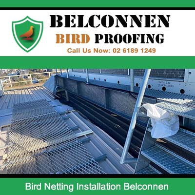 Bird netting installed on commercial rooftop solar panel system in Belconnen Canberra
