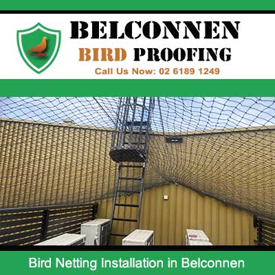 Commercial bird control netting installation in Belconnen area