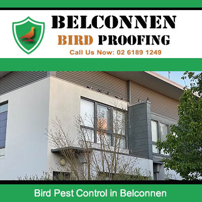 Modern residential property protected with bird control solutions in Belconnen Canberra