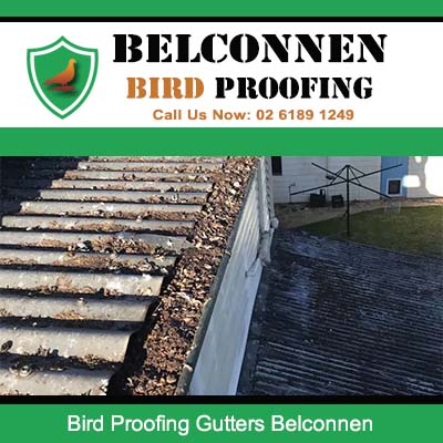 Belconnen bird proofing addressing severe pigeon droppings on roof and gutters