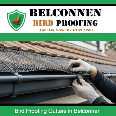 Bird proofing mesh installation in roof gutter system in Belconnen Canberra
