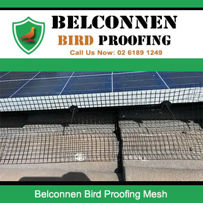 Professional bird proofing mesh preventing pest bird access to roof in Belconnen ACT
