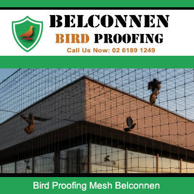 Large scale bird control mesh preventing pigeons on building in Belconnen area