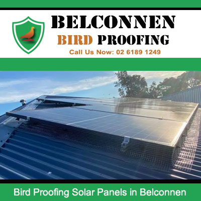 Bird protection mesh installed under solar panels on roof in Belconnen Canberra