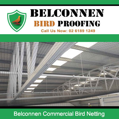 Commercial bird netting installed in warehouse ceiling in Belconnen Canberra