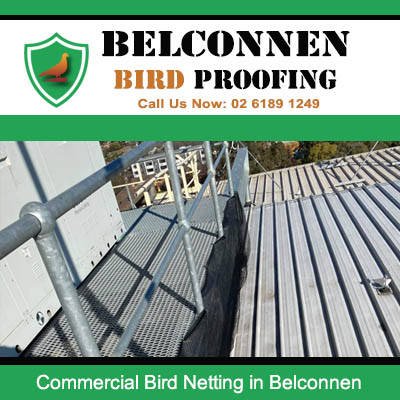 Bird netting installation on commercial metal roof structure in Belconnen Canberra
